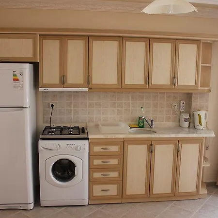 Casa de hóspedes Ozge 3*